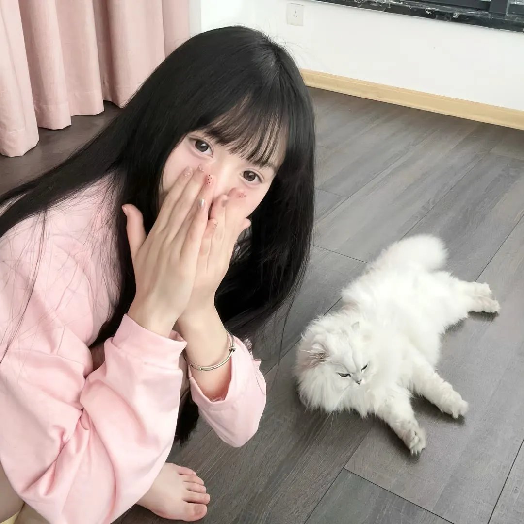 飞吧!